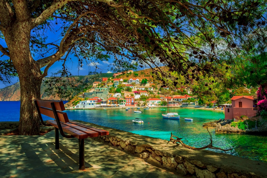 'Bench under a tree on a sunny day at Assos beach, Kefalonia, Greece' - Kefalonia
